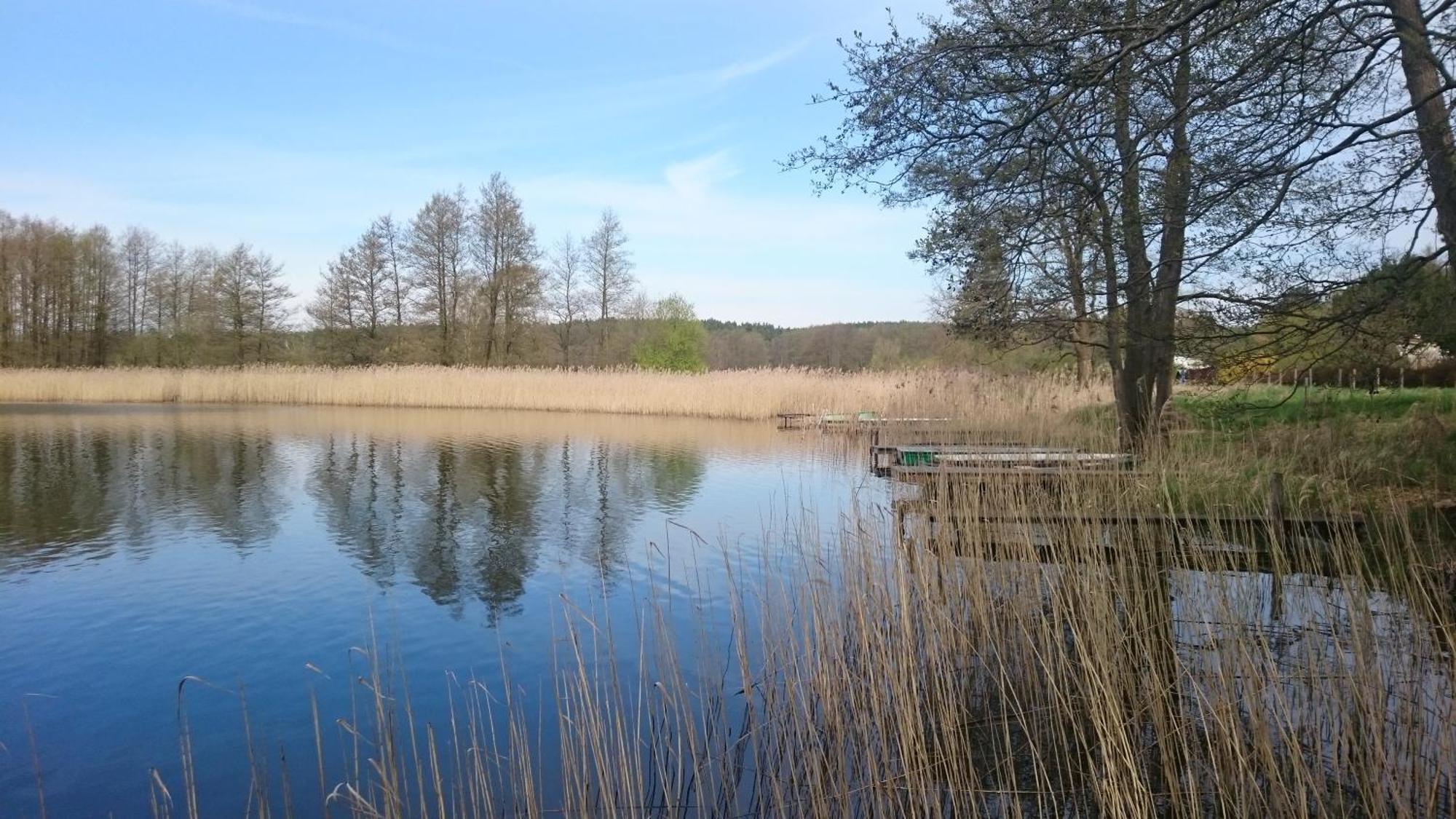 Idyll Im Land Der 1000 Seen Liessow  Экстерьер фото