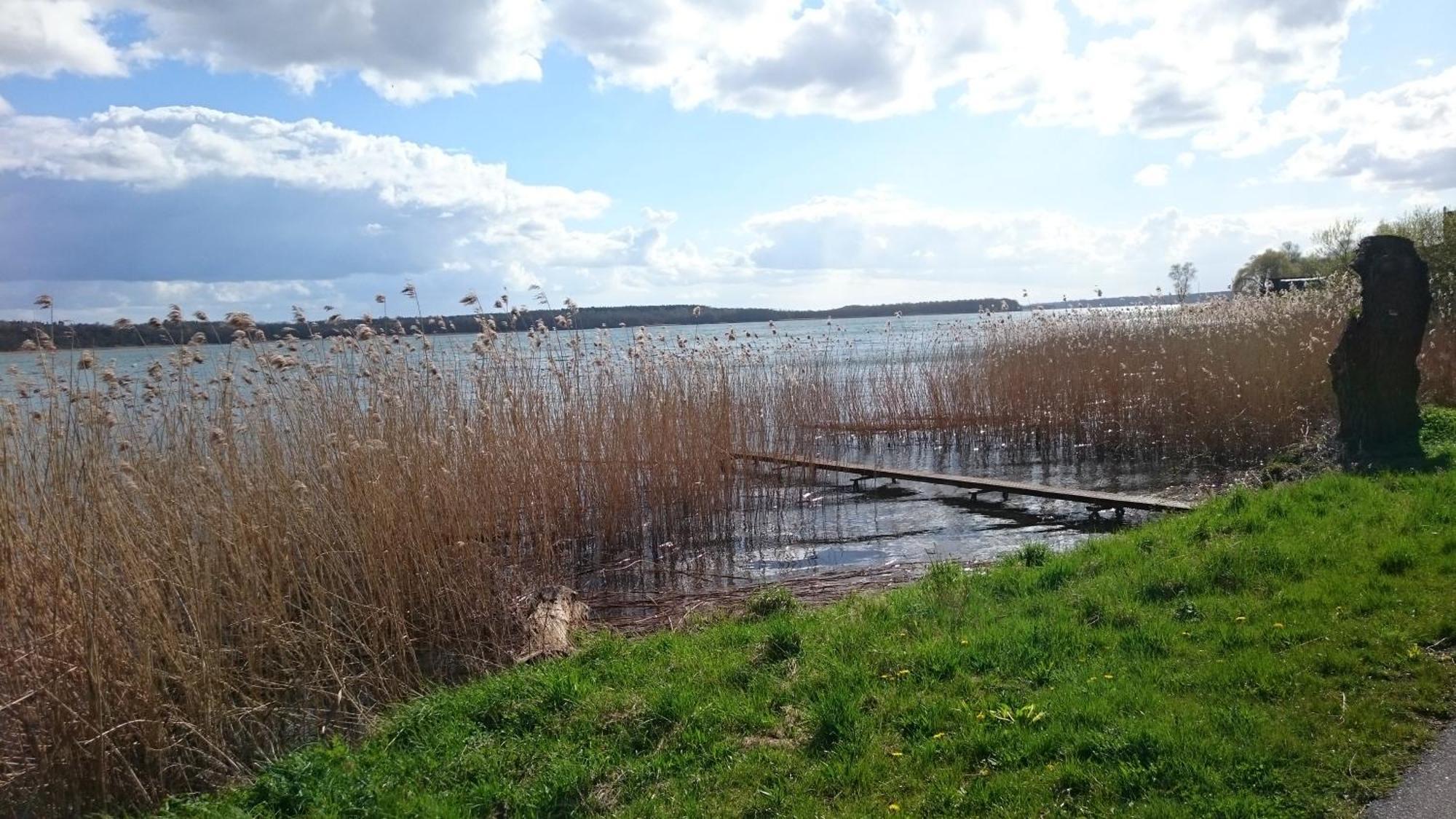 Idyll Im Land Der 1000 Seen Liessow  Экстерьер фото